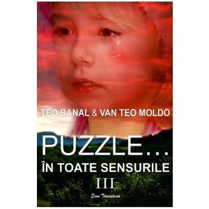Puzzle... in toate sensurile Vol. 3 - Teo Banal, Van Teo Moldo imagine