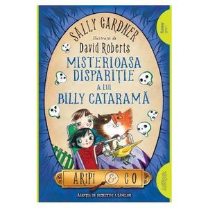 Misterioasa disparitie a lui Billy Catarama (Aripi si Co. Vol. 3) - Sally Gardner, David Roberts imagine