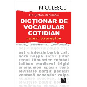Dicţionar de vocabular cotidian: valori expresive / A Dictionary of Contemporary Romanian Language in Use imagine