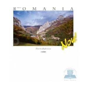 Made In Romania - Lb. Romana - Florin Andreescu imagine