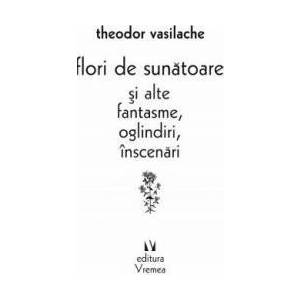 Flori de sunatoare si alte fantasme oglindiri inscenari - Theodor Vasilache imagine
