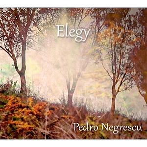 Elegy | Pedro Negrescu imagine