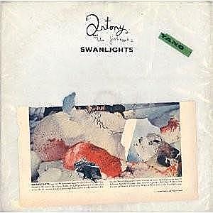 Swanlights | imagine