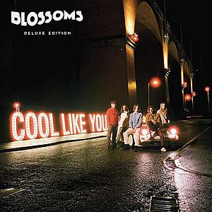 Cool like you - Vinyl | Blossoms imagine