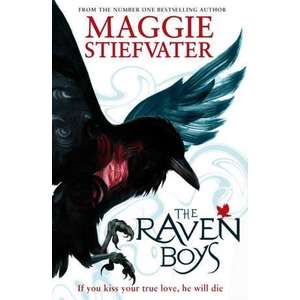 Raven Cycle 1. The Raven Boys imagine