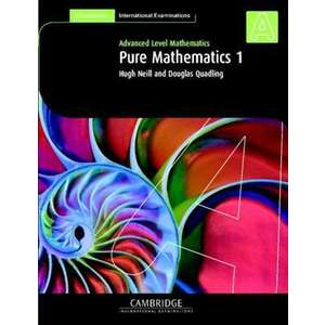 Pure Mathematics 1 imagine
