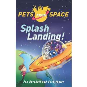 Splash-Landing! imagine