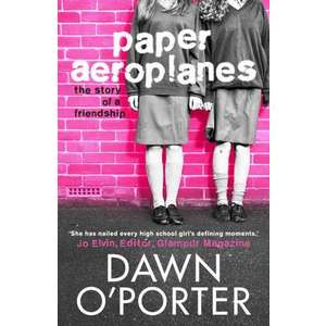 Paper Aeroplanes imagine