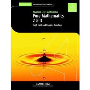 Pure Mathematics 2 and 3 (International) imagine
