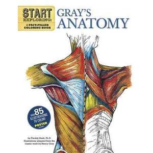 Start Exploring: Gray's Anatomy imagine