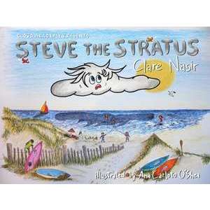 Steve the Stratus imagine