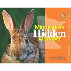 Minnesota's Hidden Alphabet imagine