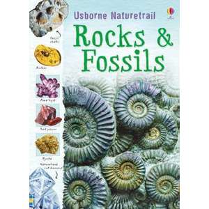 Rocks and Fossils imagine