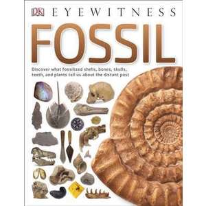 Fossil imagine