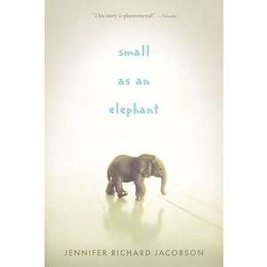 Small as an Elephant imagine