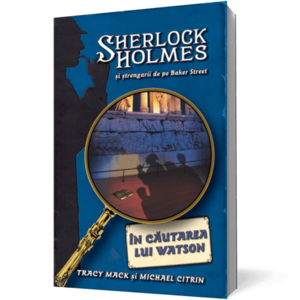 În căutarea lui Watson - seria Sherlock Holmes şi ştrengarii de pe BakerStreet imagine