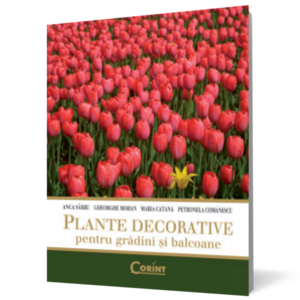 Plante decorative pentru grădini şi balcoane imagine