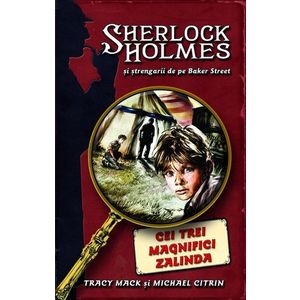 Cei trei magnifici Zalinda - seria Sherlock Holmes și ștrengarii de pe Baker Street imagine
