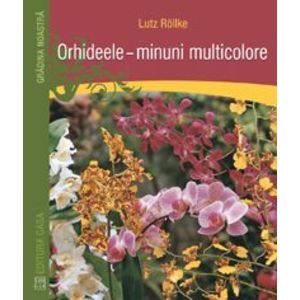 Orhideele – minuni multicolore imagine
