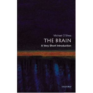 The Brain: A Very Short Introduction imagine