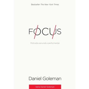 Focus. Motivatia ascunsa a performantei imagine