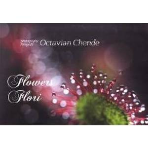 Flowers. Flori- Octavian Chende imagine