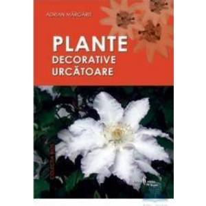 Plante decorative uscatoare - Adrian Margarit imagine