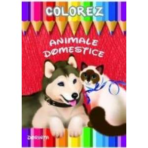 Colorez Animale domestice imagine