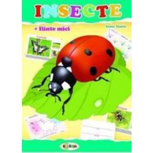 Insecte mapa - Inesa Tautu imagine