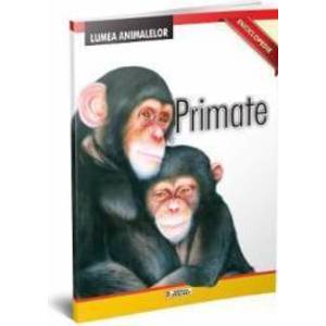 Lumea Animalelor - Primate imagine