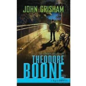 Theodore Boone. Rapirea - John Grisham imagine