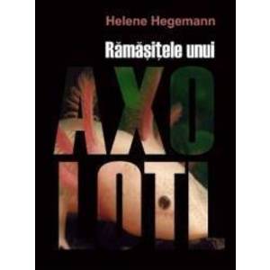 Ramasitele unui Axolotl - Helene Hegemann imagine
