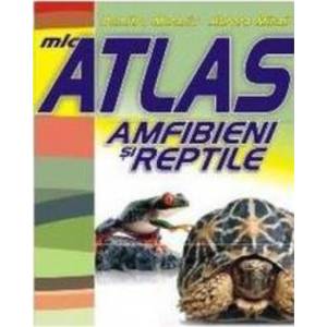 Mic atlas amfibieni si reptile - Dumitru Murariu Aurora Mihail imagine