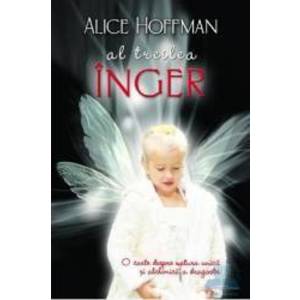Al treilea inger - Alice Hoffman imagine