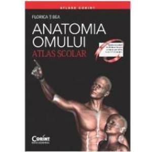 Anatomia omului - Atlas Scolar - Florica Tibea imagine