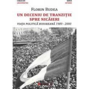 Un deceniu de tranzitie spre nicaieri - Florin Budea imagine
