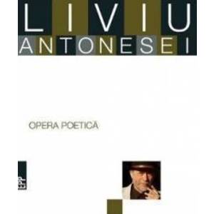 Opera poetica - Liviu Antonesei imagine