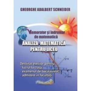 Memorator analiza matematica pentru liceu - Gheorghe Adalbert Schneider imagine