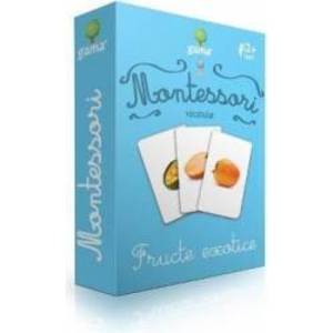 Montessori - Vocabular Fructe exotice imagine