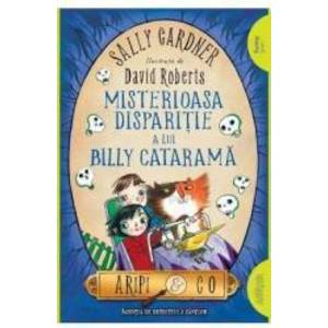 Misterioasa disparitie a lui Billy Catarama Aripi si Co. Vol. 3 - Sally Gardner David Roberts imagine