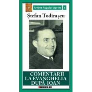 Comentarii la Evanghelia dupa Ioan - Stefan Todirascu imagine