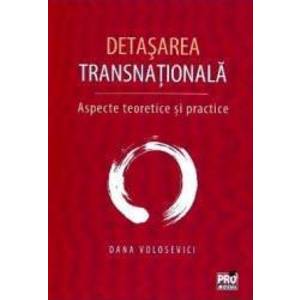 Detasarea transnationala - Dana Volosevici imagine