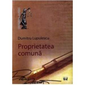 Proprietatea comuna - Dumitru Lupulescu imagine