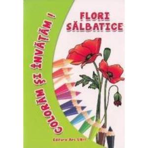 Flori salbatice - Coloram si invatam imagine