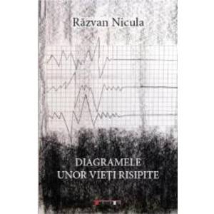 Diagramele unor vieti risipite - Razvan Nicula imagine