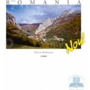 Made in Romania - Lb. Germana - Florin Andreescu imagine