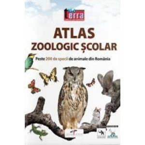 Atlas zoologic scolar imagine
