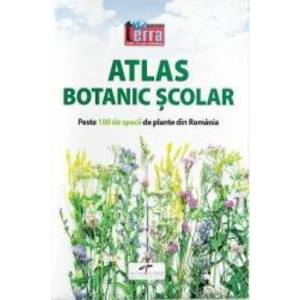 Atlas botanic scolar imagine