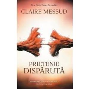 Prietenie disparuta - Claire Messud imagine