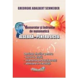 Memorator algebra pentru liceu - Gheorghe Adalbert Schneider imagine